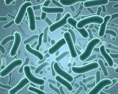 ウイルスのイメージ画像