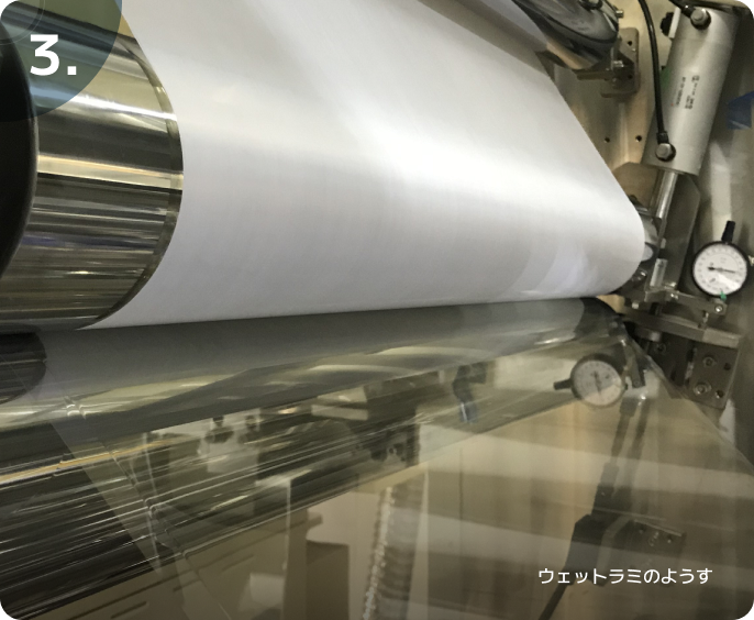 3.ウェットラミのようす